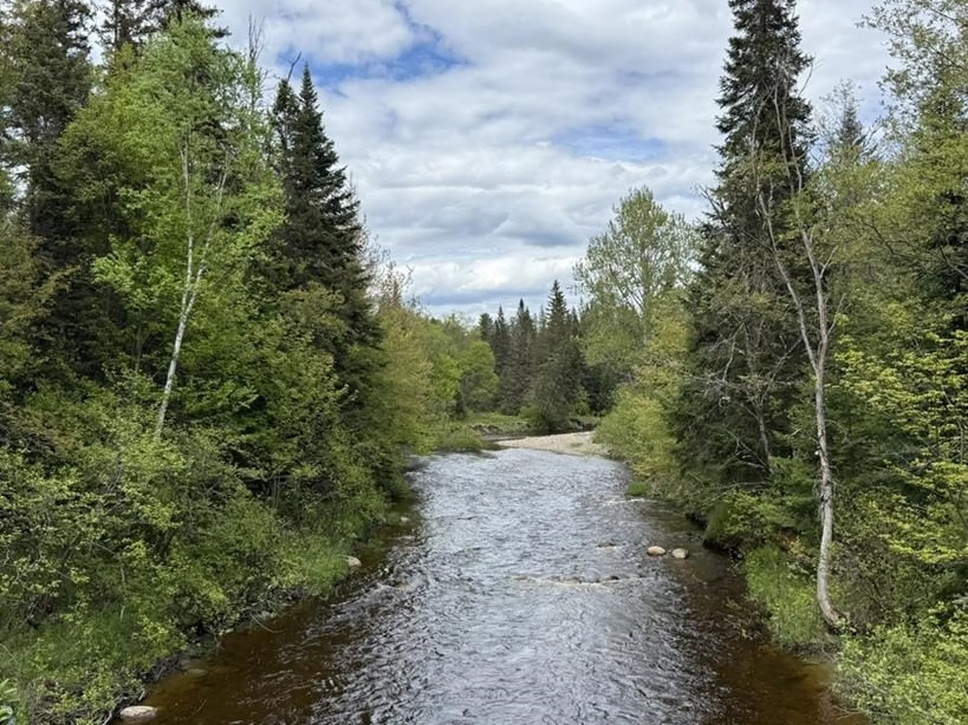 0 Stearns Brook Road Milan NH 03588