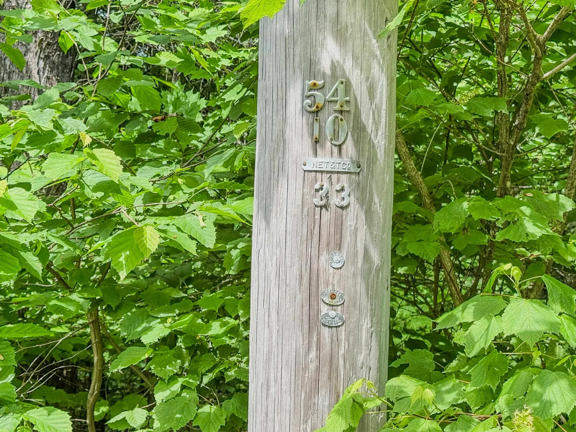 3681 Shadow Lake Road Concord VT 05824