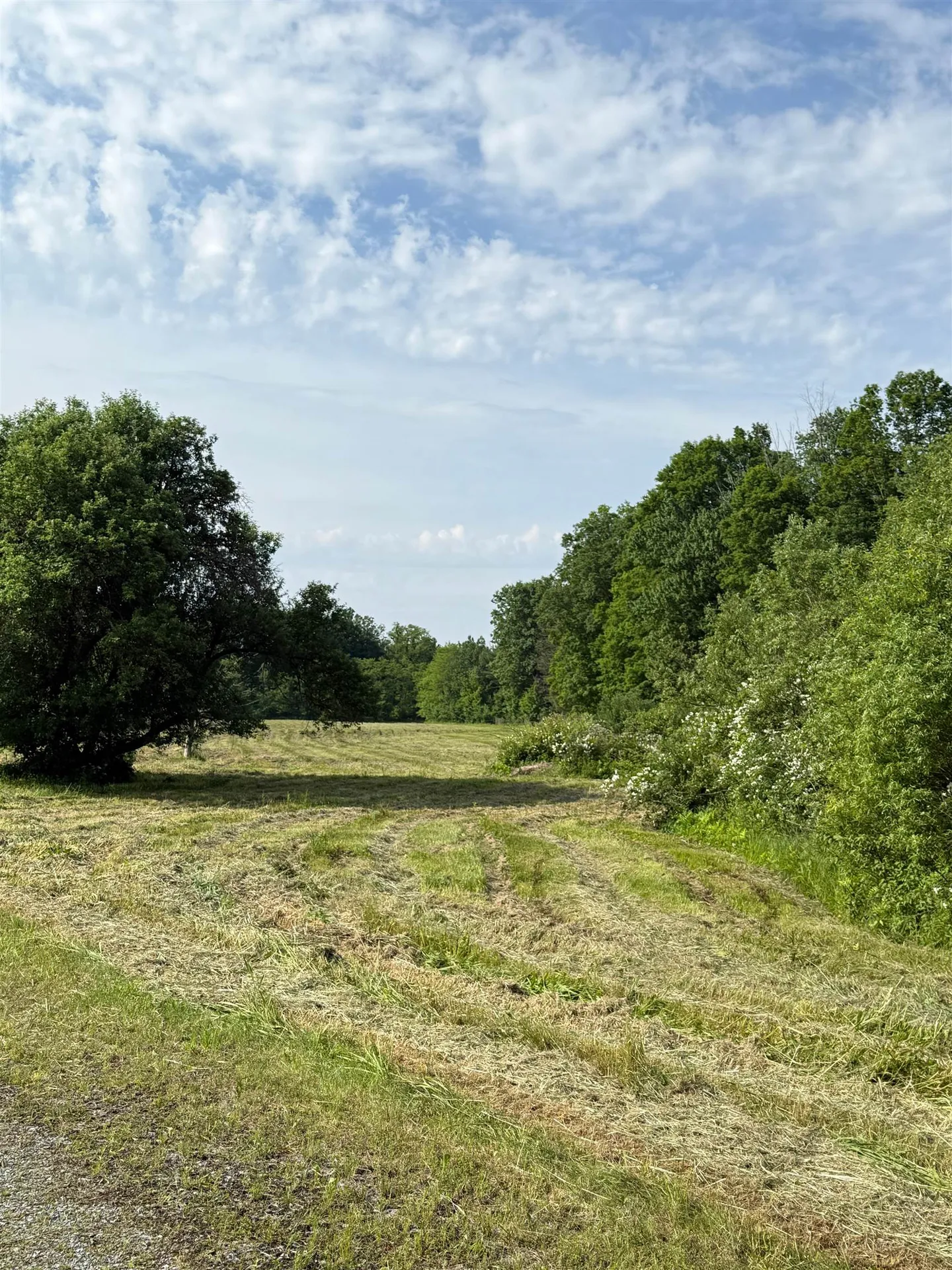 720 North Branch Street Bennington VT 05201