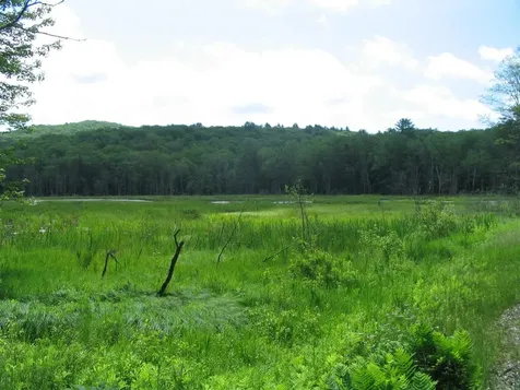 30 Old Stoddard Road Nelson NH 03457