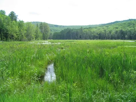30 Old Stoddard Road Nelson NH 03457