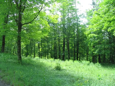 30 Old Stoddard Road Nelson NH 03457