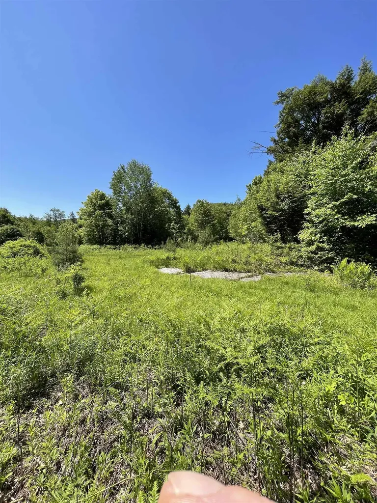 * Alder Plains Road Bradford NH 03221
