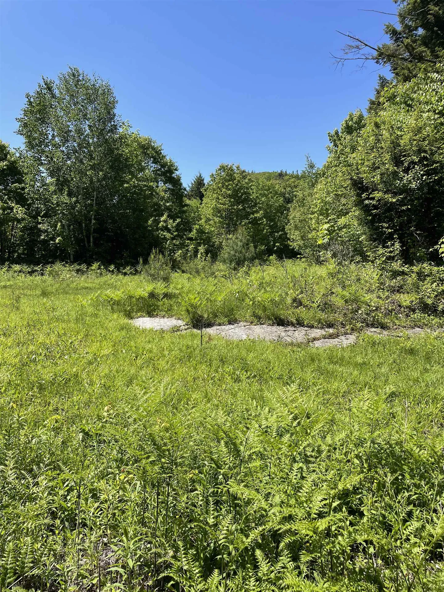 * Alder Plains Road Bradford NH 03221