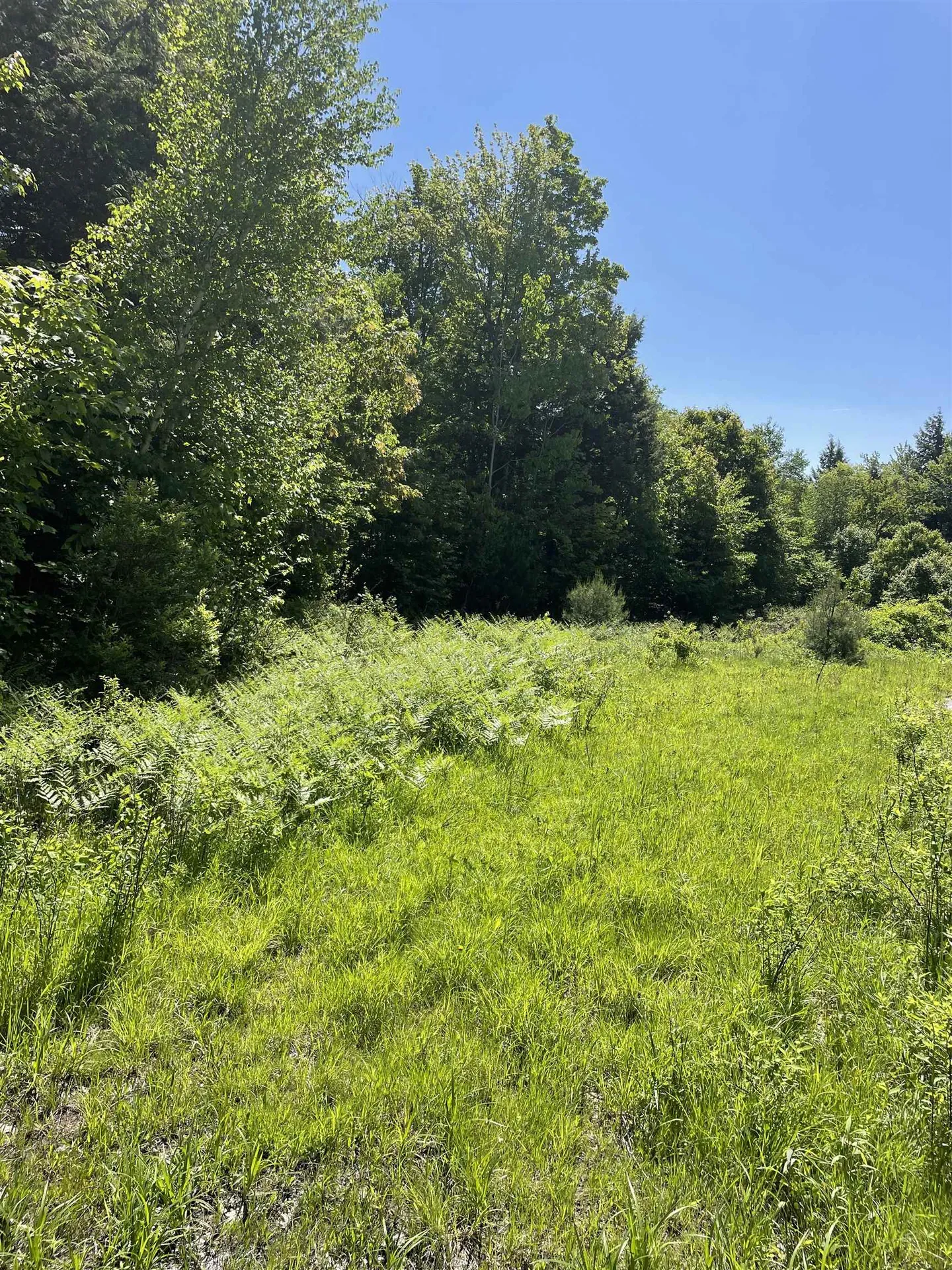 * Alder Plains Road Bradford NH 03221