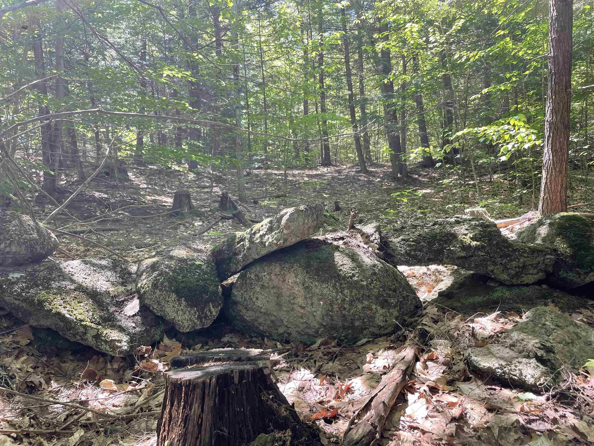 * Alder Plains Road Bradford NH 03221