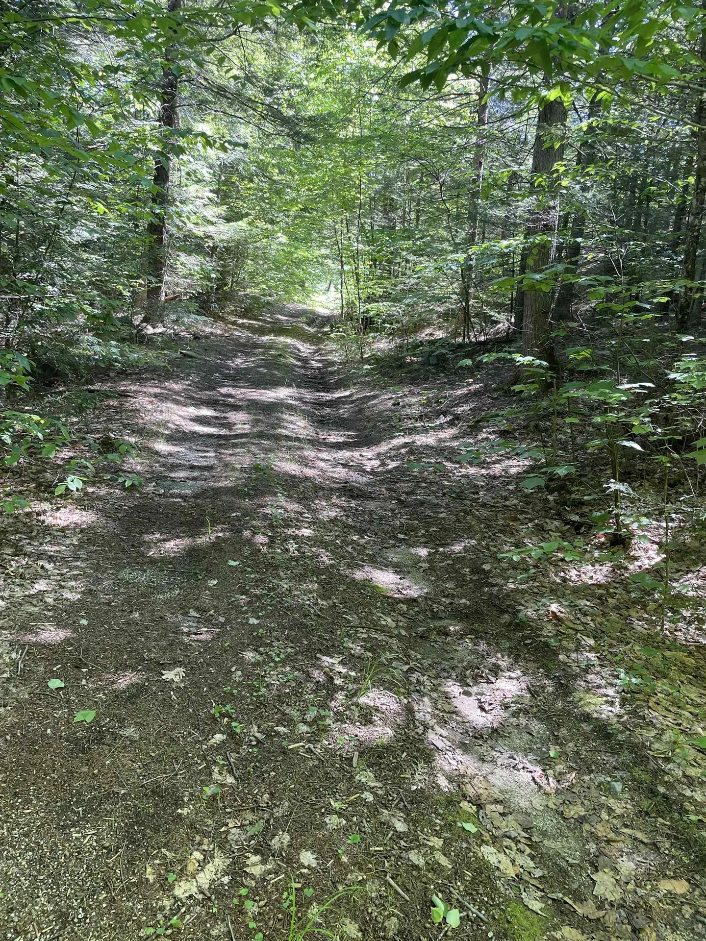 * Alder Plains Road Bradford NH 03221