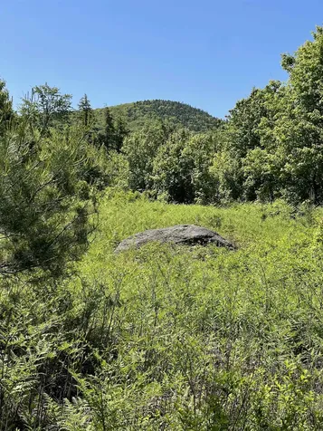 * Alder Plains Road Bradford NH 03221