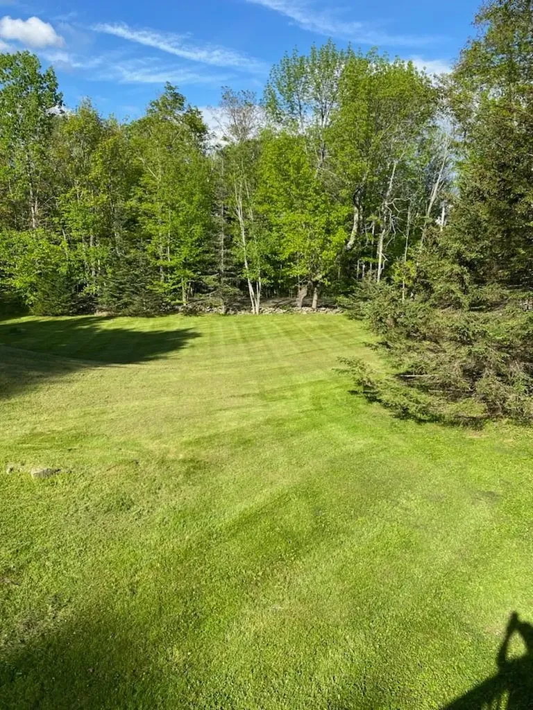 1591 Higley Hill Marlboro VT 05344
