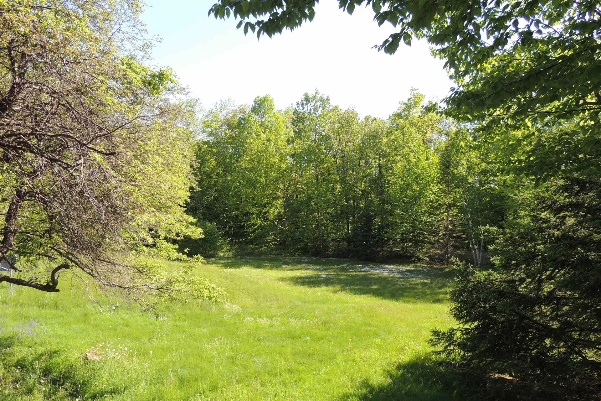1591 Higley Hill Marlboro VT 05344