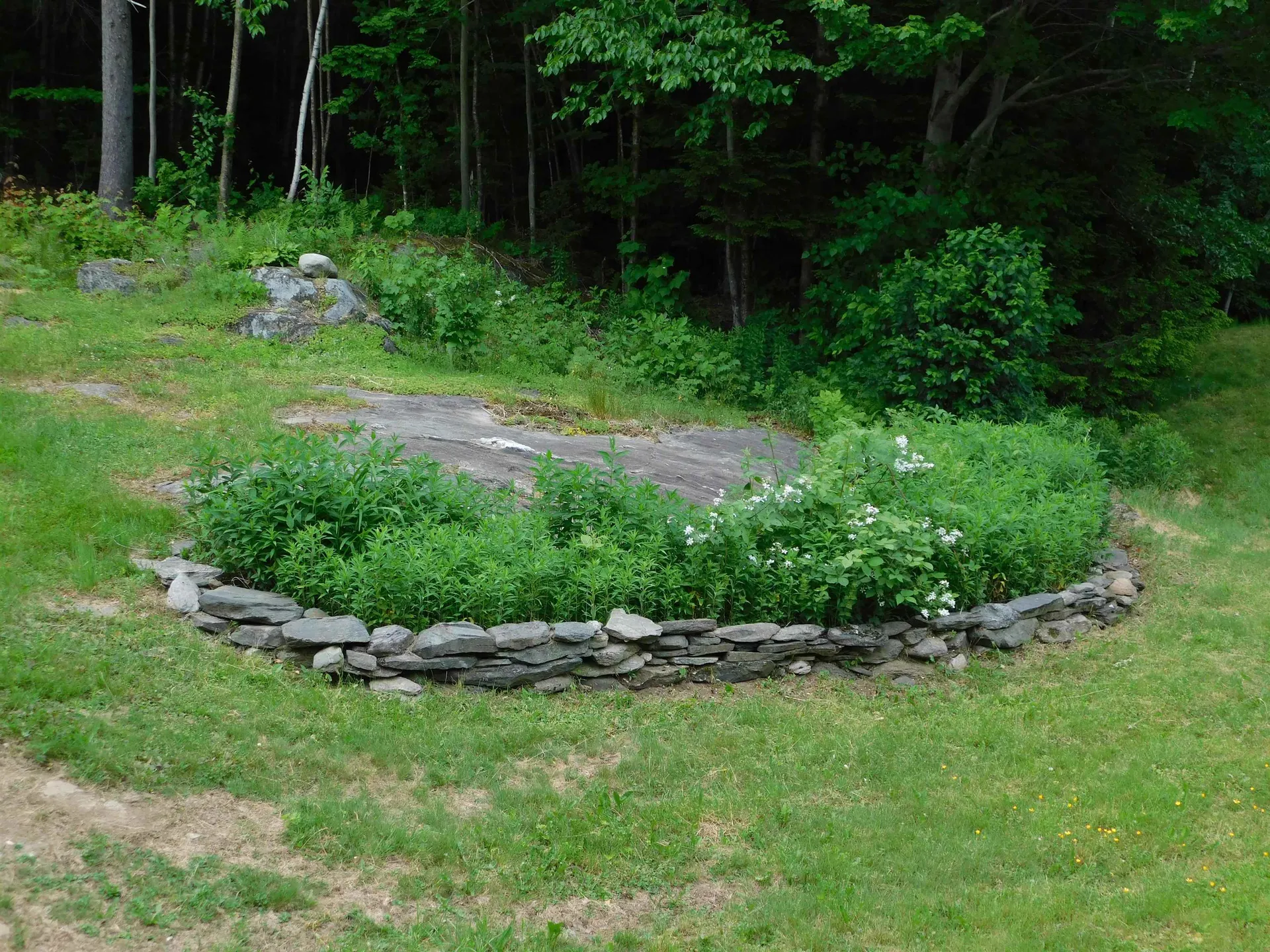 1591 Higley Hill Marlboro VT 05344