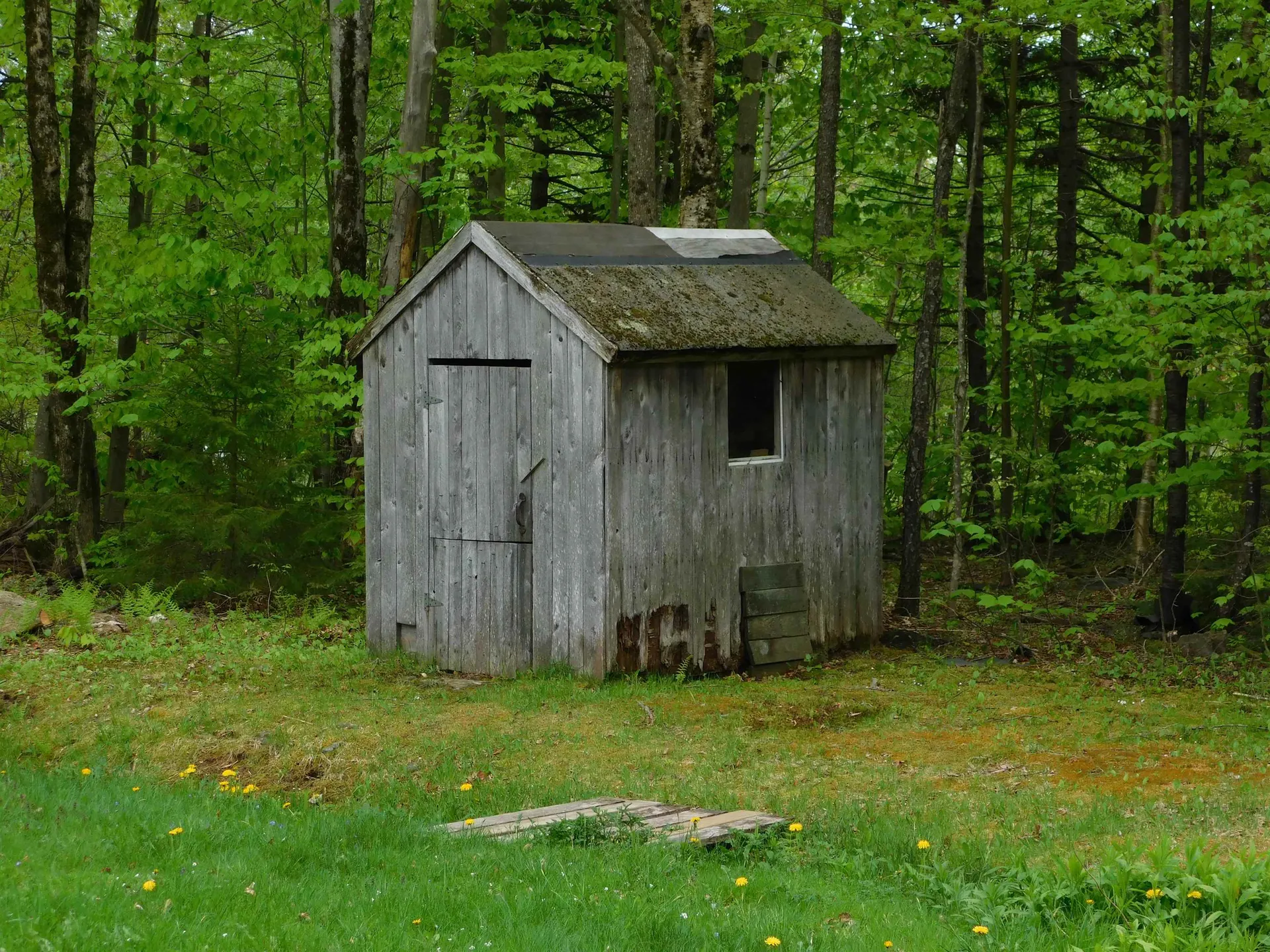 1591 Higley Hill Marlboro VT 05344