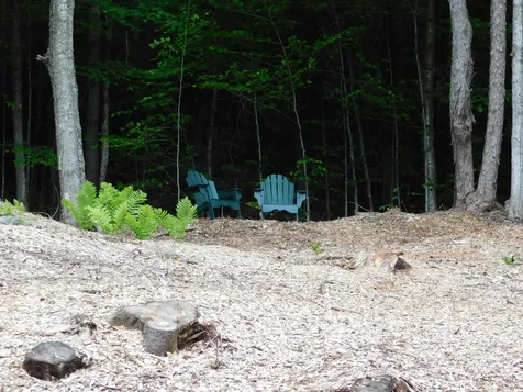 1591 Higley Hill Marlboro VT 05344