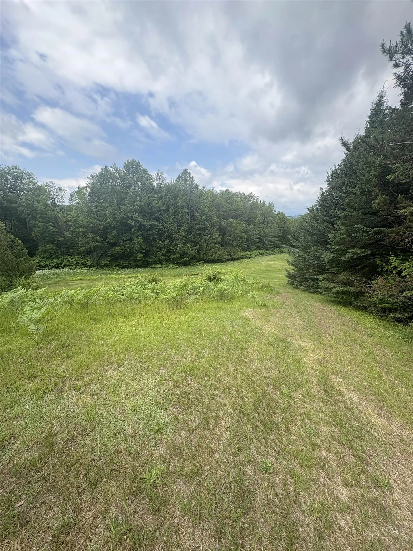 492 Cameron Road Plainfield VT 05667