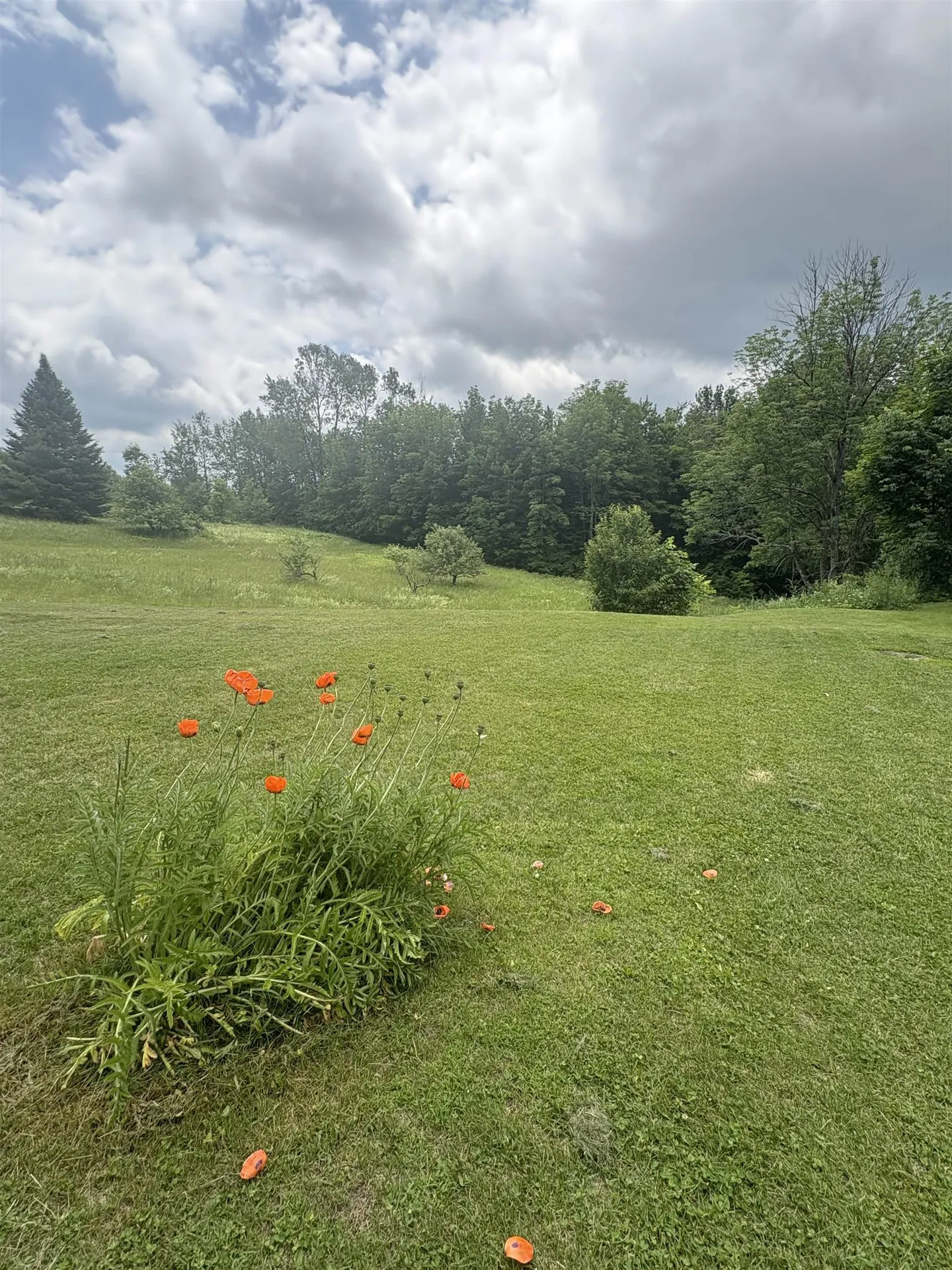 492 Cameron Road Plainfield VT 05667