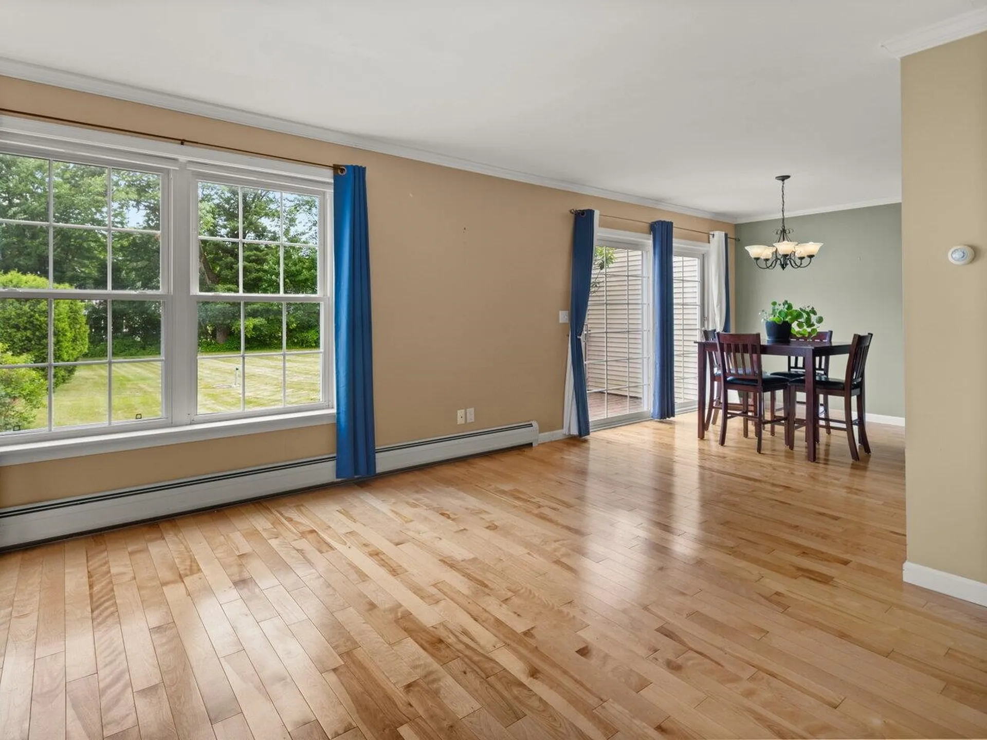 163 Fern Court Colchester VT 05446