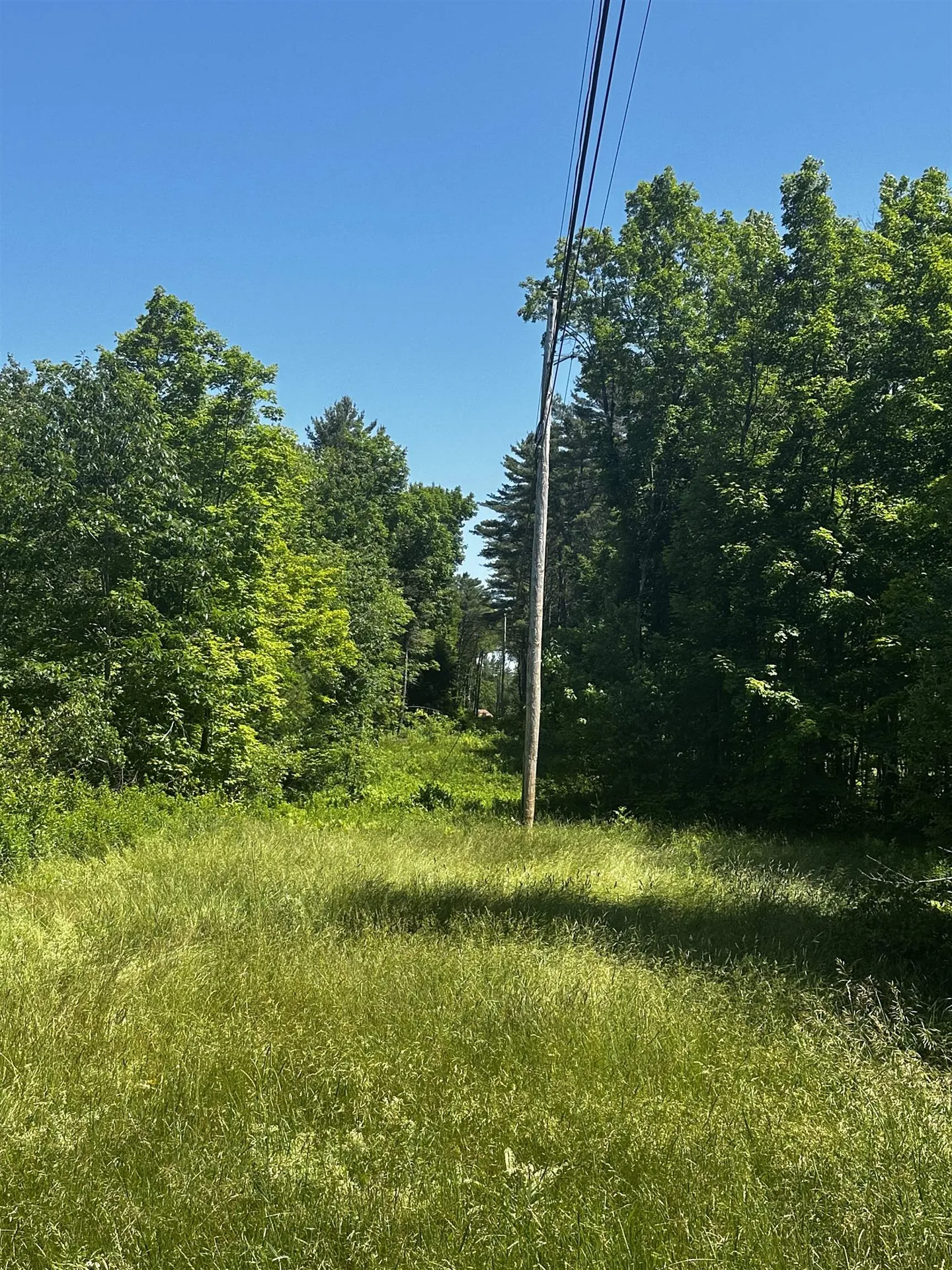 Garney Road Brookfield NH 03872