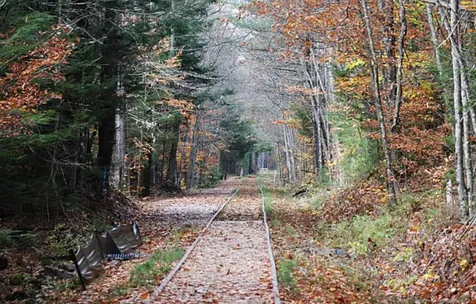 Garney Road Brookfield NH 03872