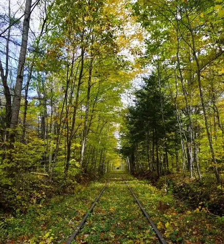 Garney Road Brookfield NH 03872