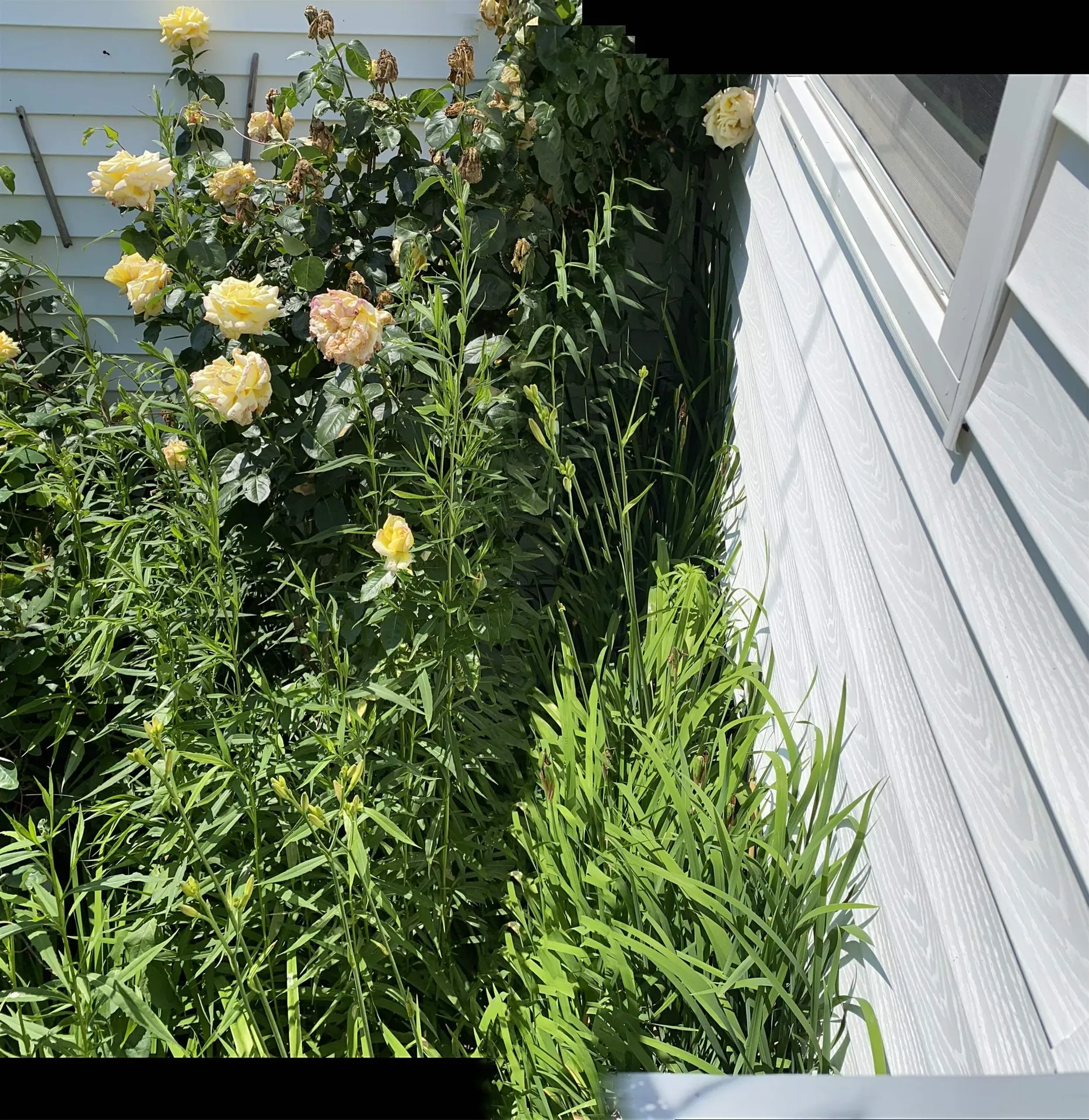 62 Adams Park Rye NH 03870