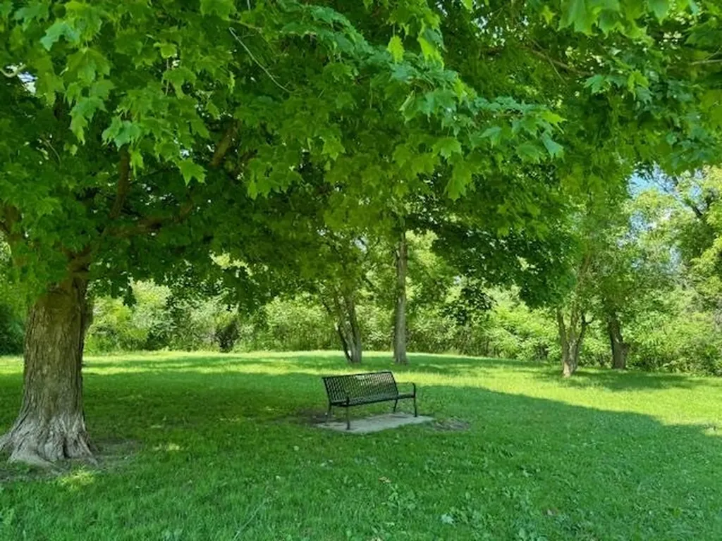 925 Falls Road Shelburne VT 05482