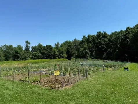 925 Falls Road Shelburne VT 05482