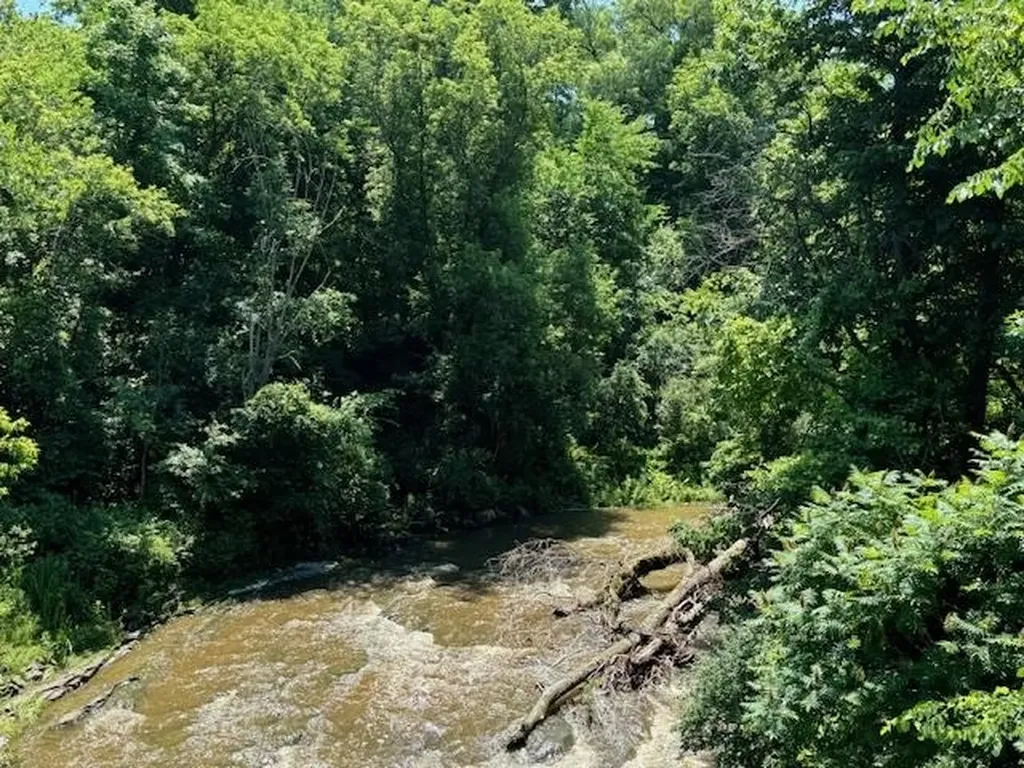 925 Falls Road Shelburne VT 05482