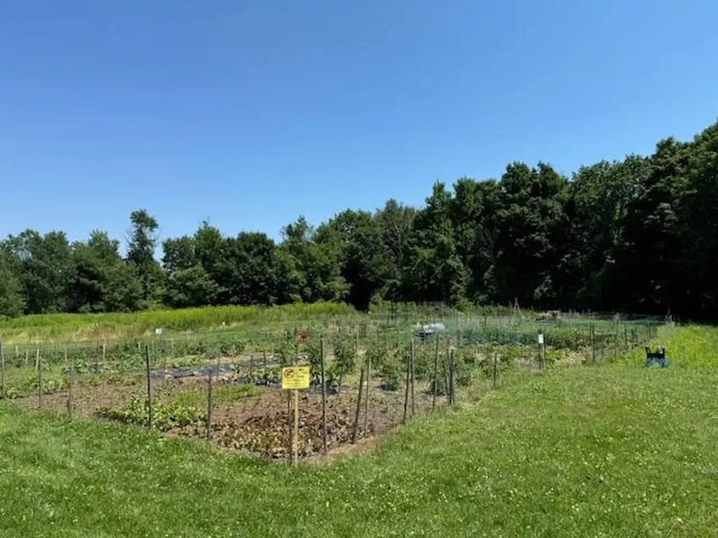 925 Falls Road Shelburne VT 05482