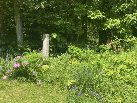 1313 Eligo Lake Road Greensboro VT 05843