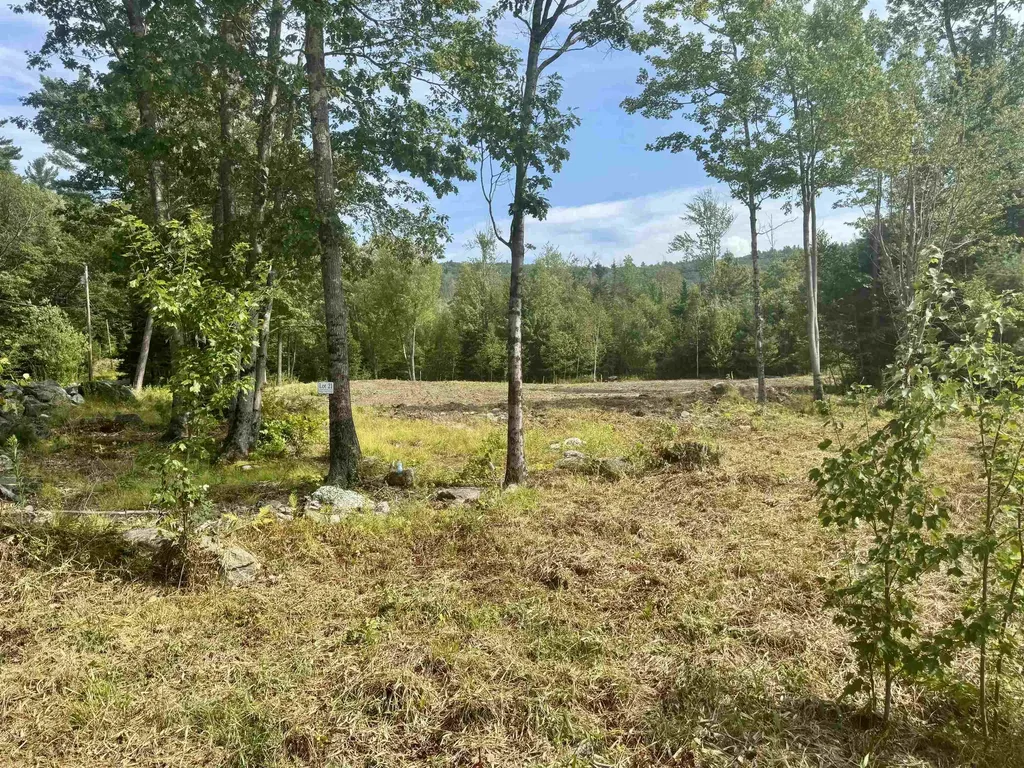Lot 21 Dodge Pond Lane Lempster NH 03605