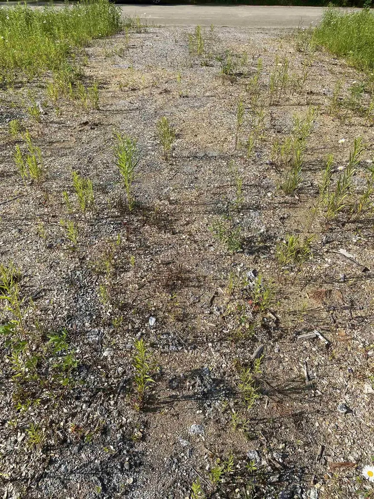 Nutting Road Sunapee NH 03782