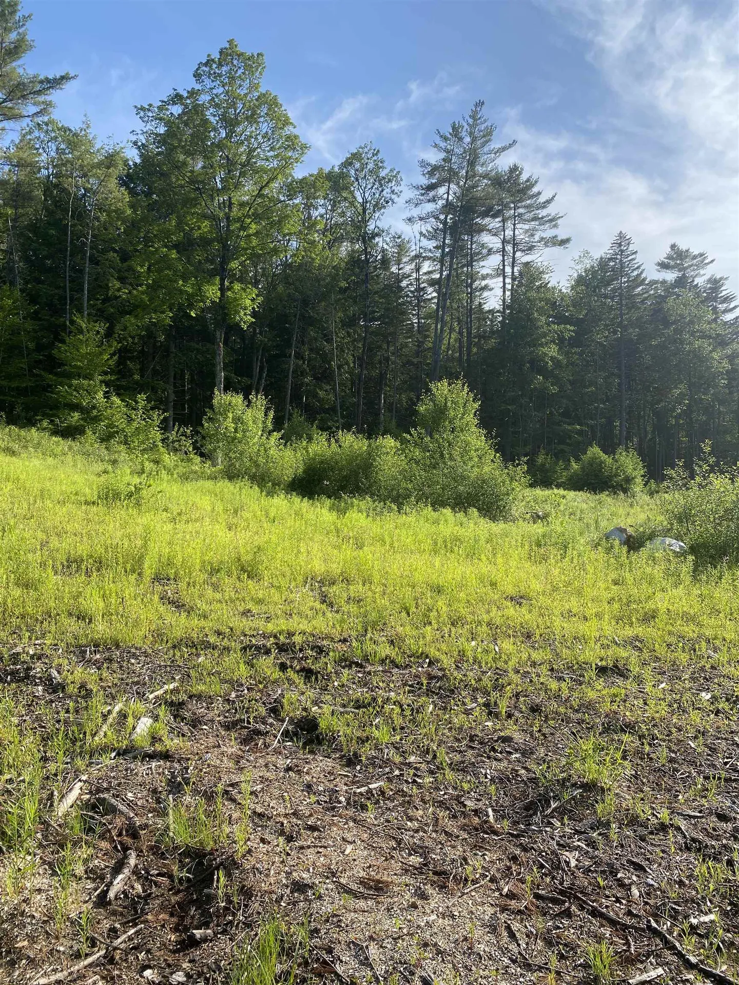 Nutting Road Sunapee NH 03782