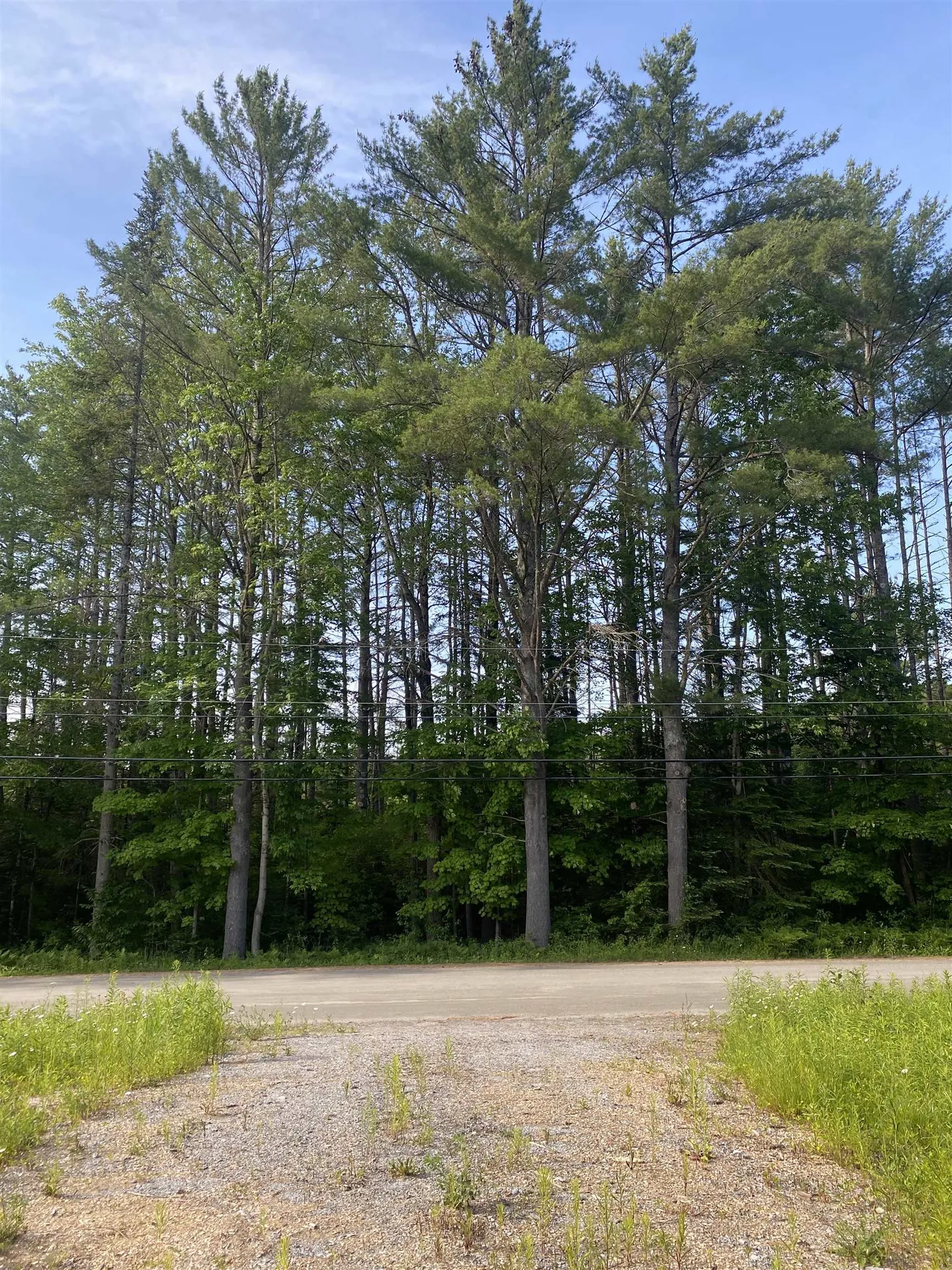 Nutting Road Sunapee NH 03782