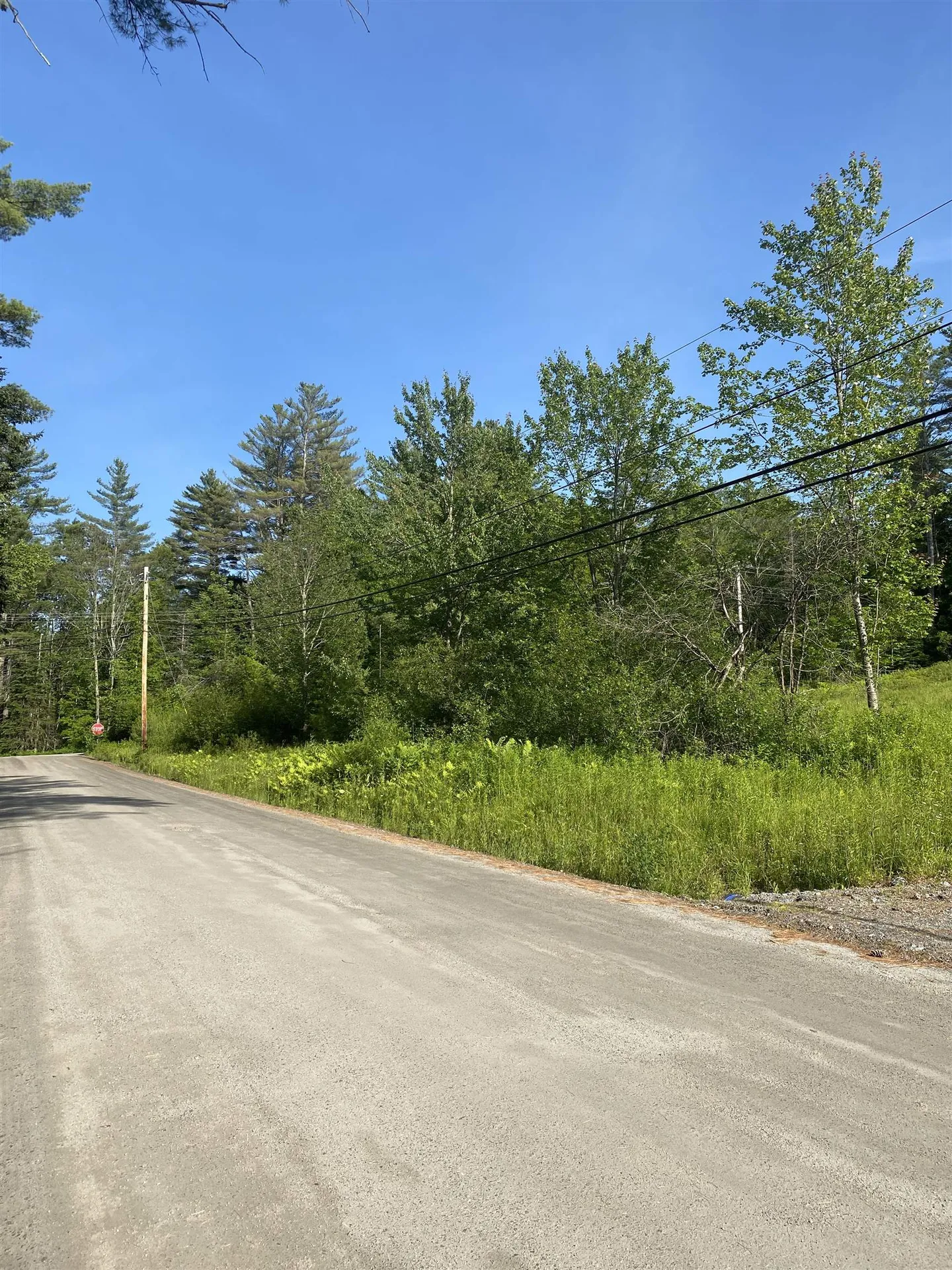 Nutting Road Sunapee NH 03782