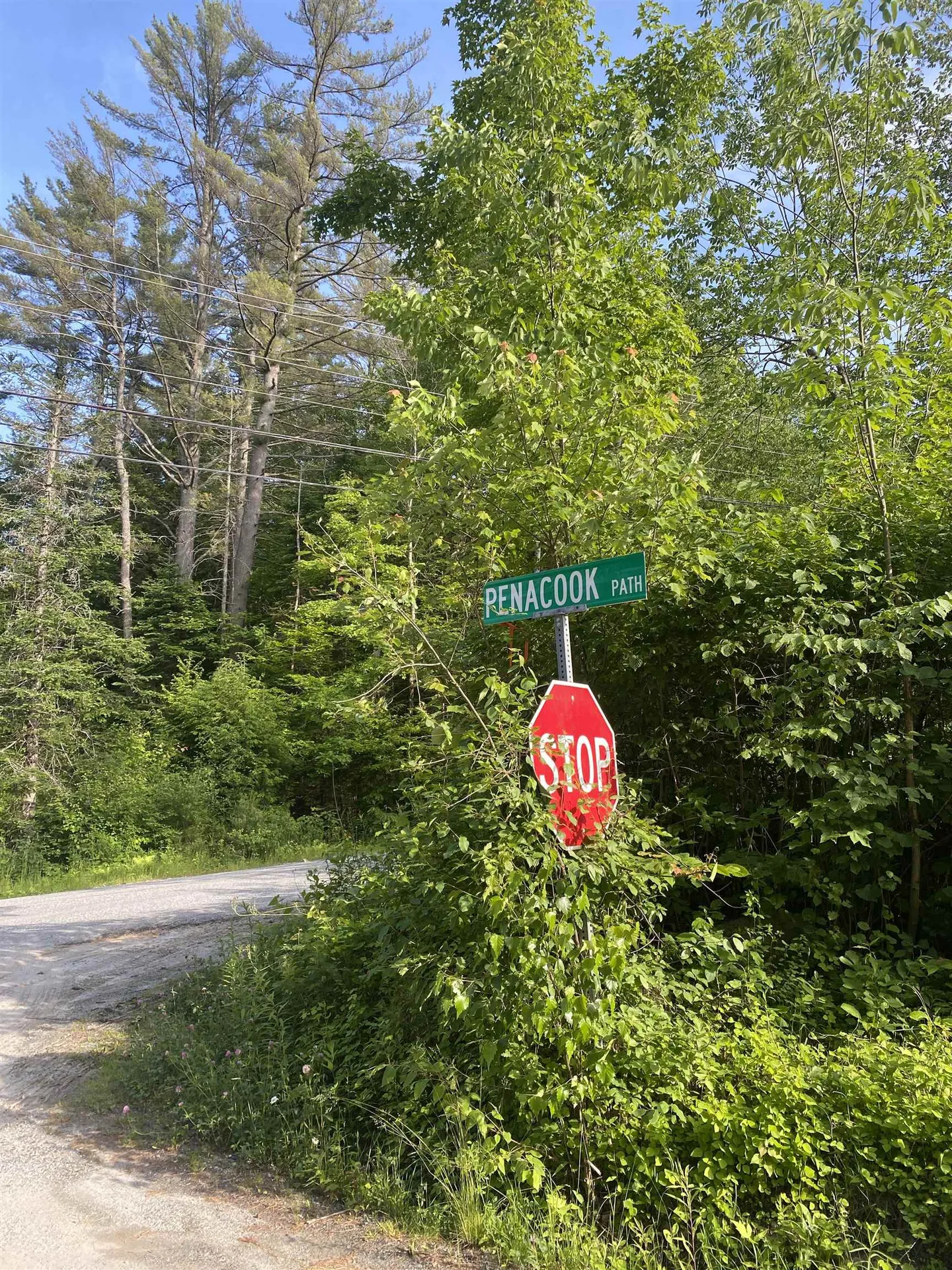 Nutting Road Sunapee NH 03782