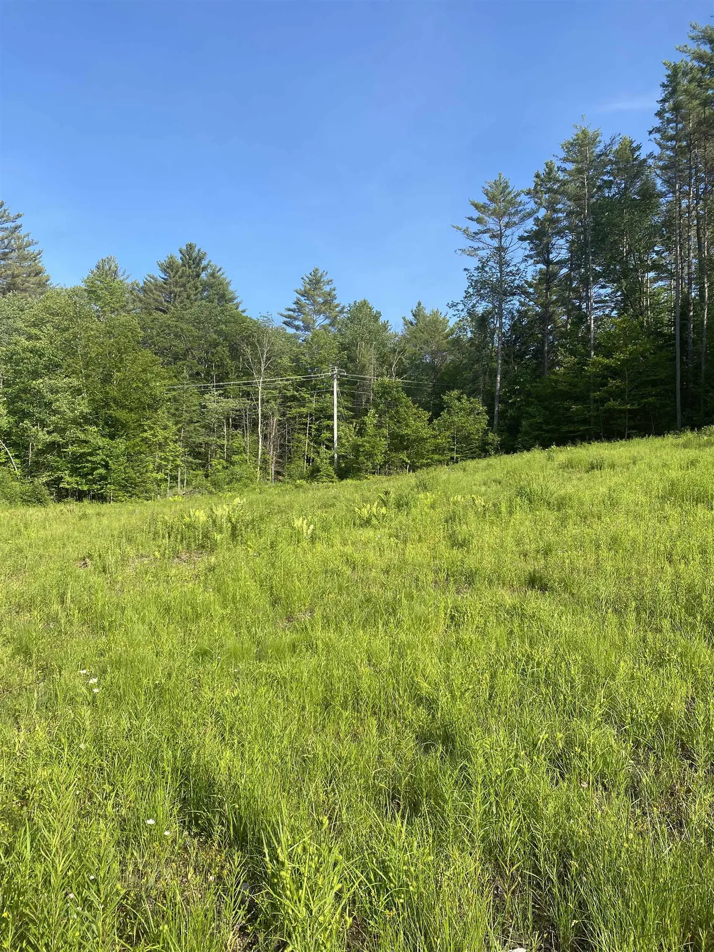 Nutting Road Sunapee NH 03782