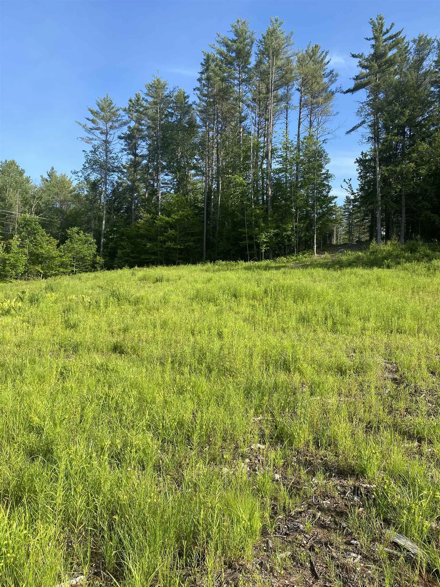 Nutting Road Sunapee NH 03782