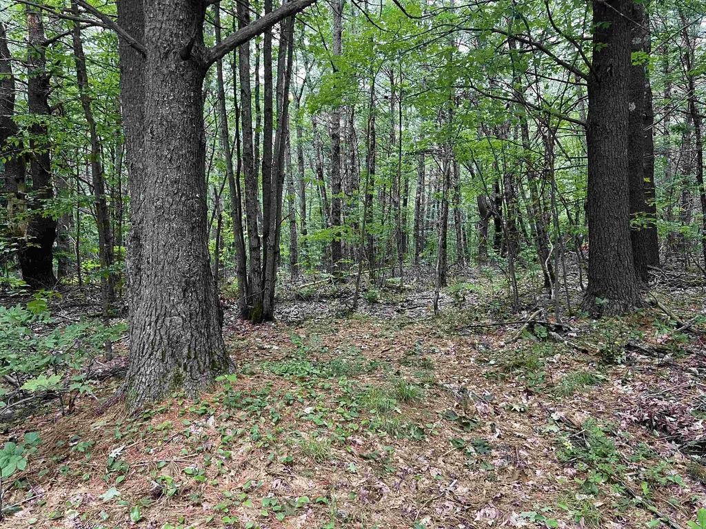 0 Carpenter Hill Road Walpole NH 03436