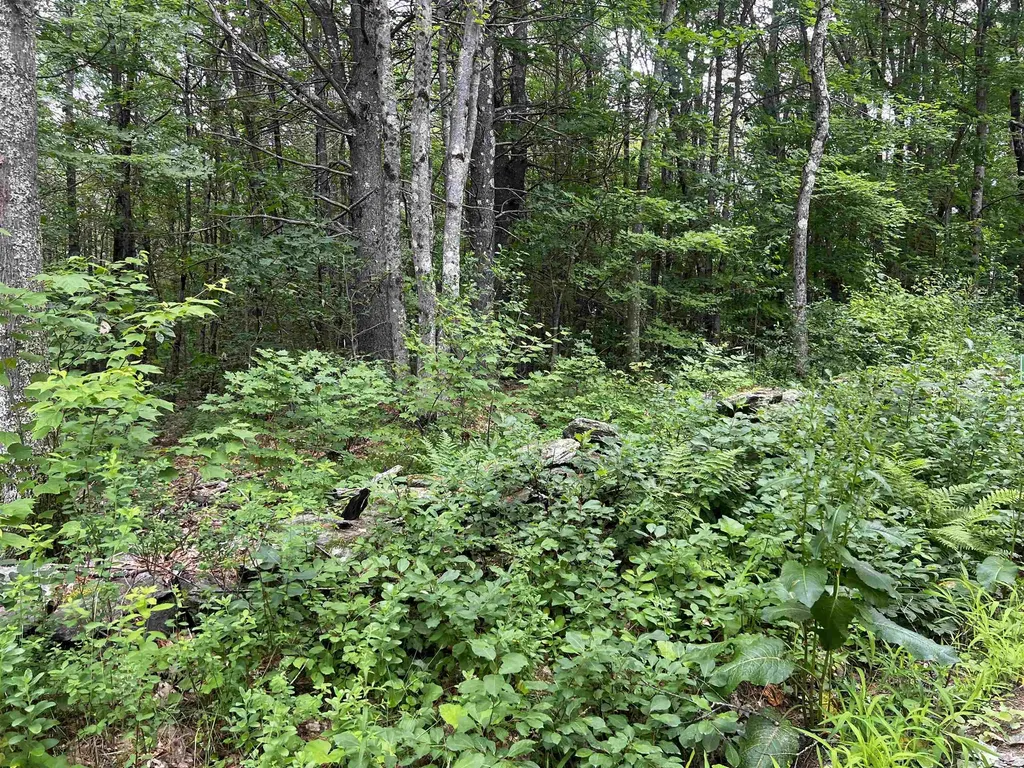 0 Carpenter Hill Road Walpole NH 03436