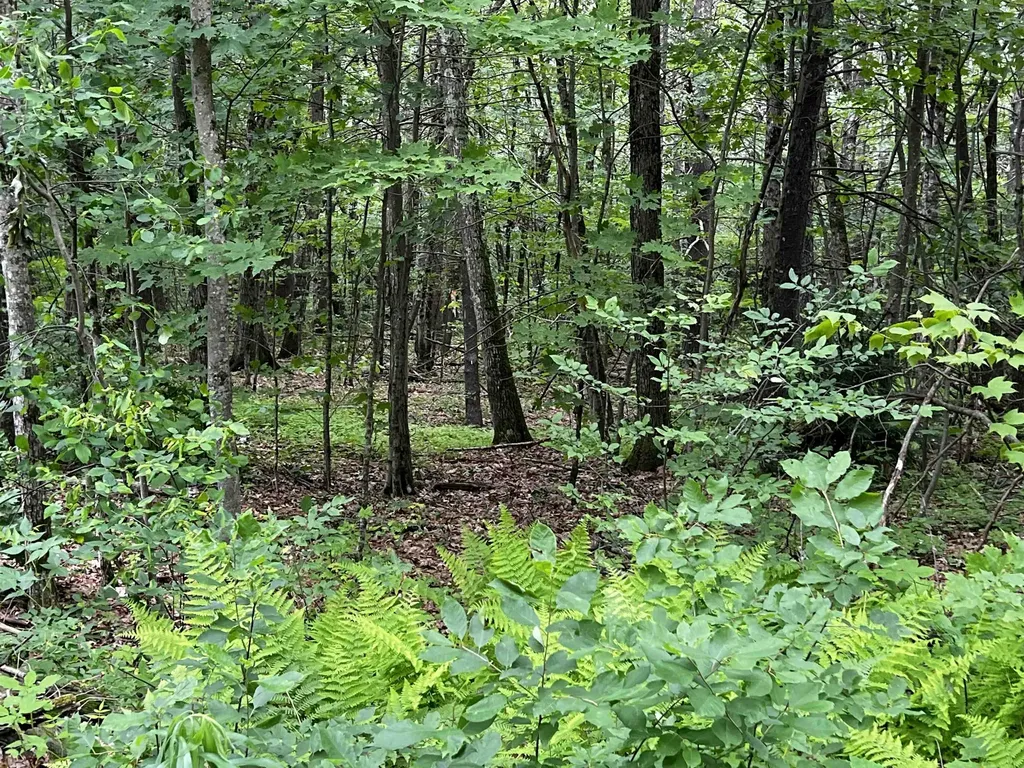 0 Carpenter Hill Road Walpole NH 03436