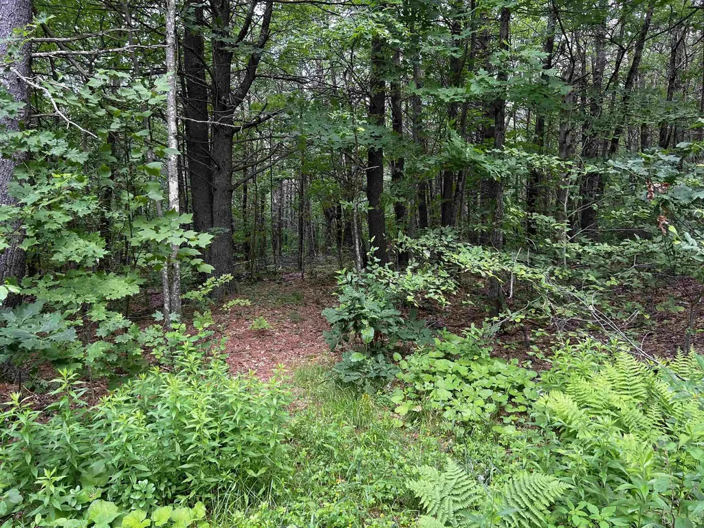 0 Carpenter Hill Road Walpole NH 03436