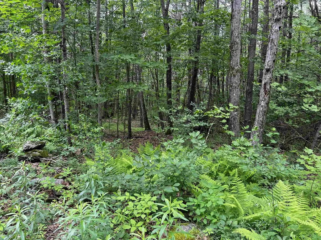 0 Carpenter Hill Road Walpole NH 03436