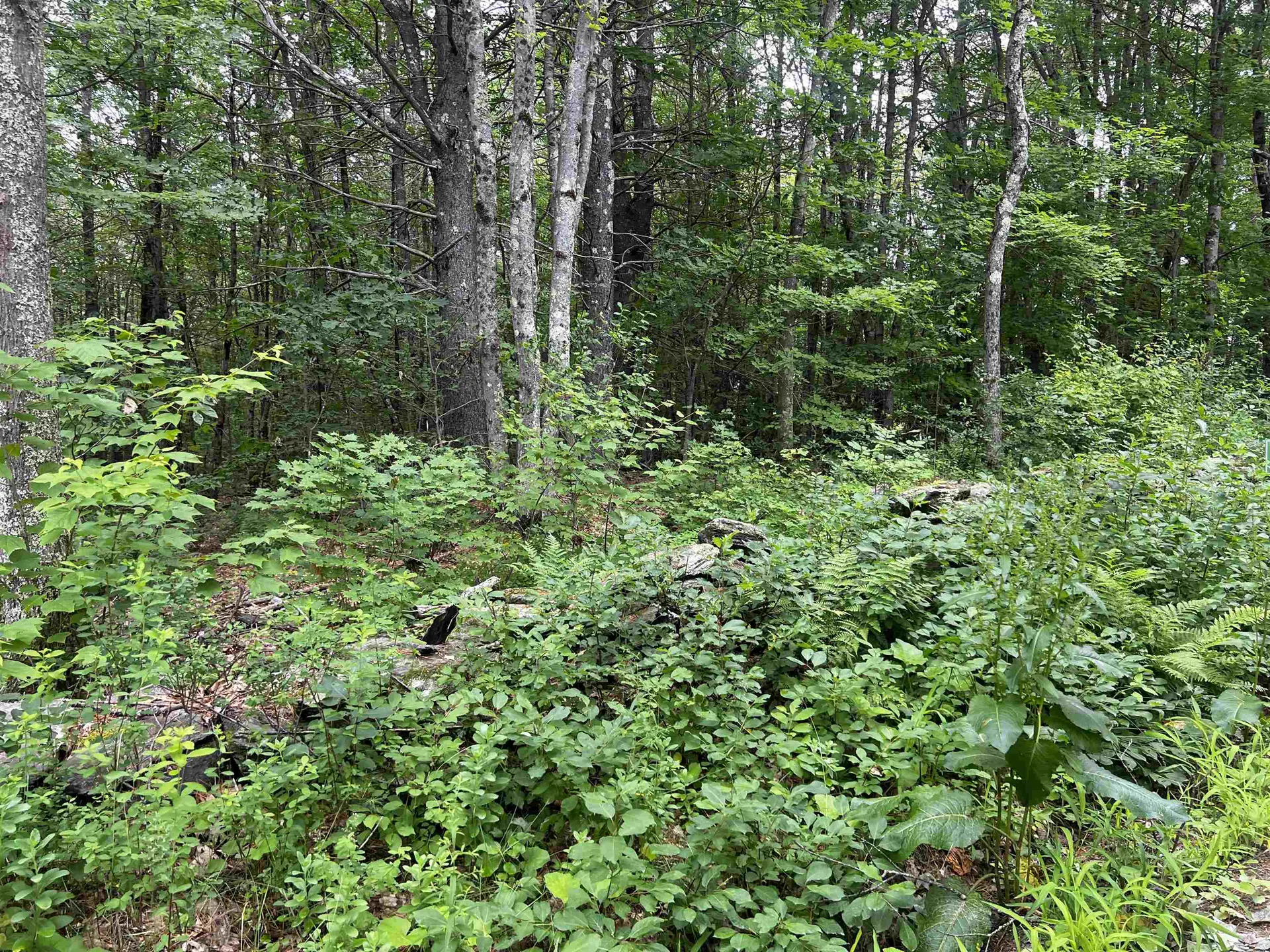 0 Carpenter Hill Road Walpole NH 03436