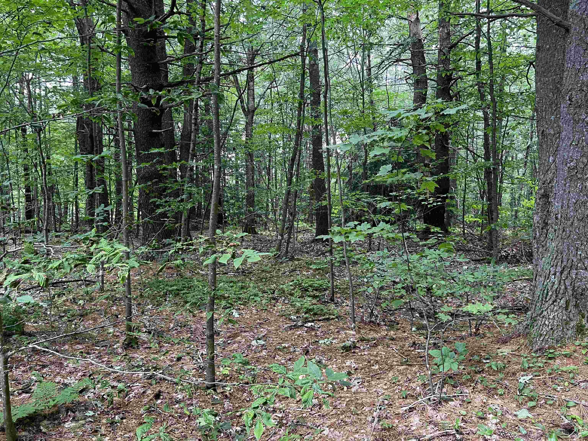 0 Carpenter Hill Road Walpole NH 03436