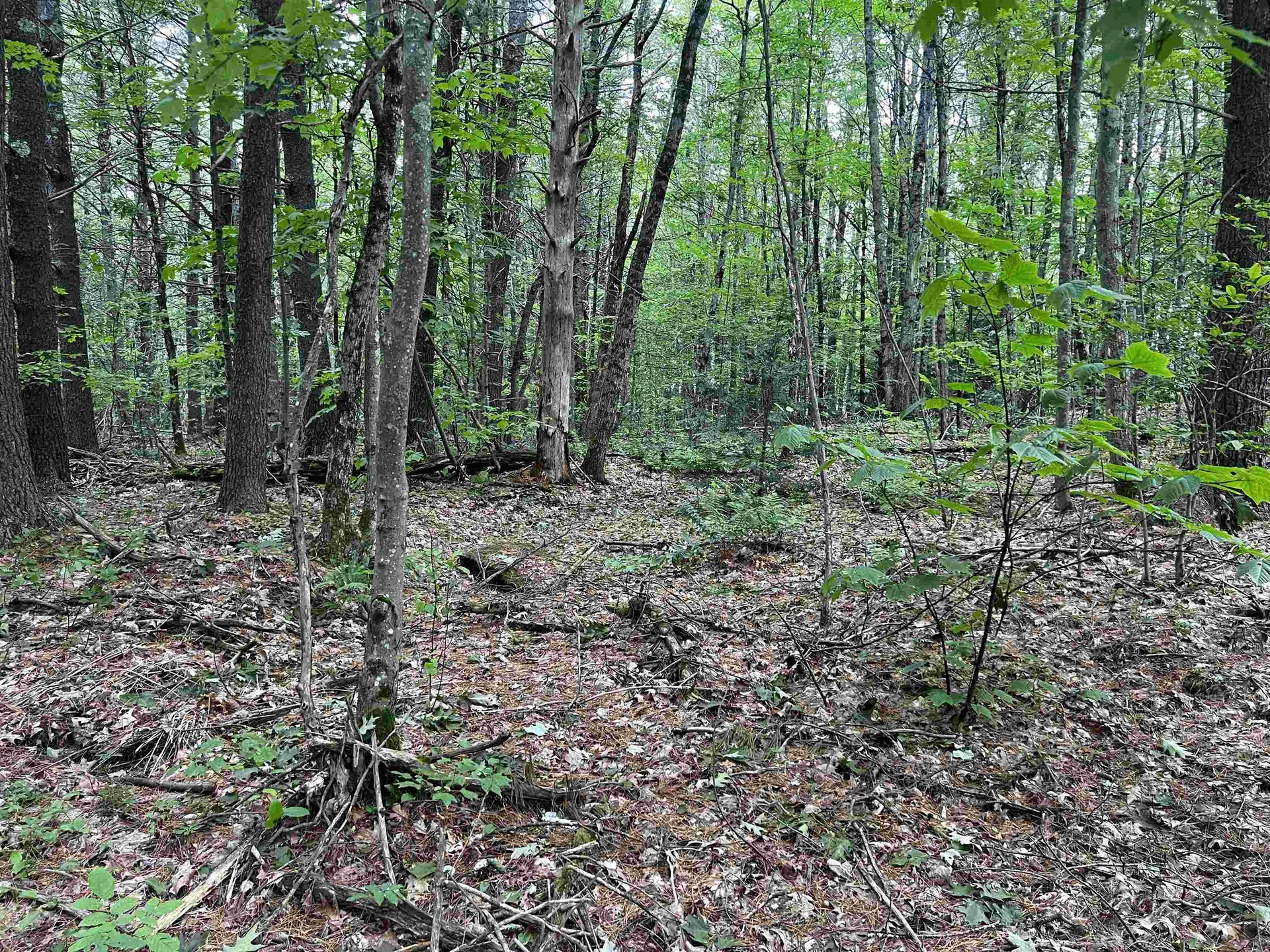 0 Carpenter Hill Road Walpole NH 03436