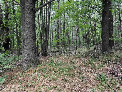 0 Carpenter Hill Road Walpole NH 03436