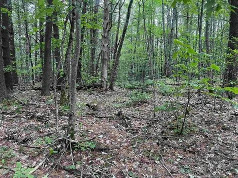 0 Carpenter Hill Road Walpole NH 03436