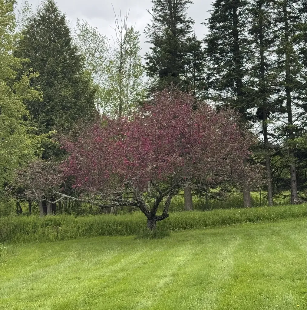 154 West Street Barton VT 05822