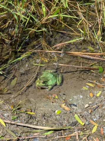 154 West Street Barton VT 05822