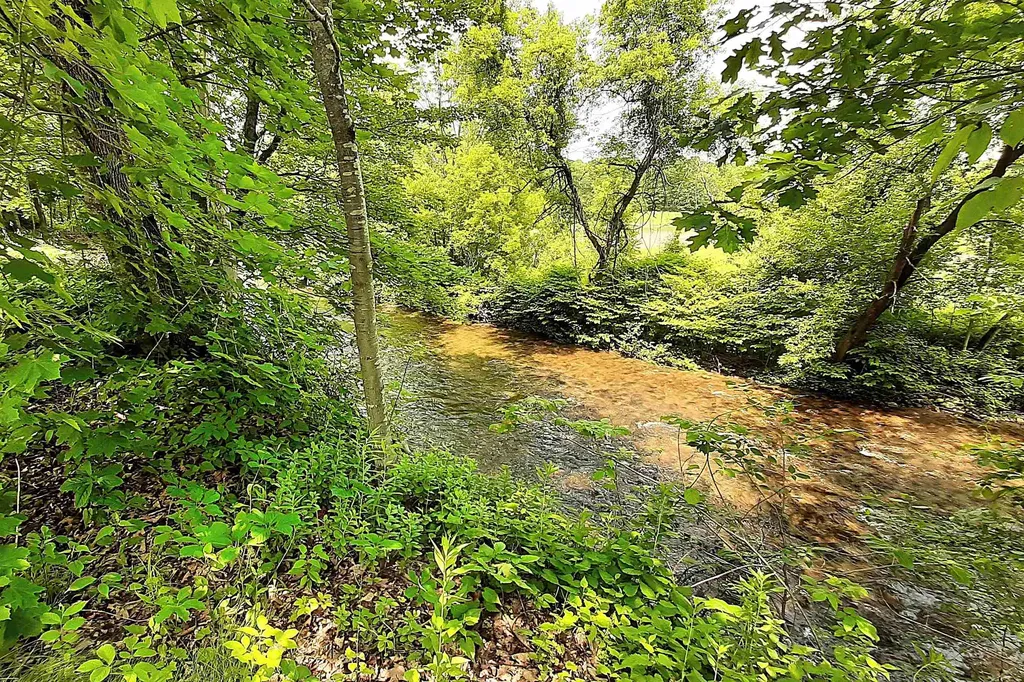 534 Elm Street Chester VT 05143